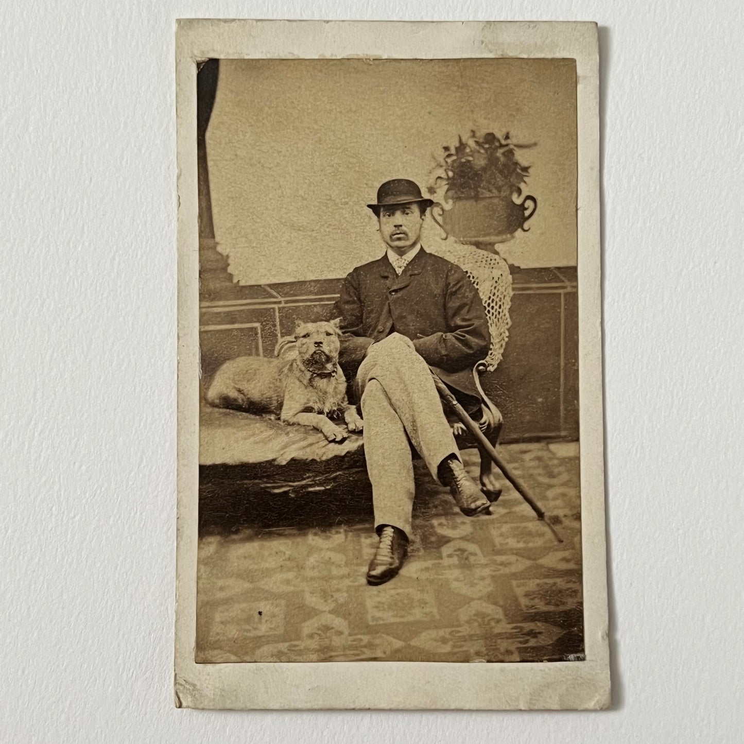 Antique Carte de Vista Photograph Handsome Man with Pitbull Dog
